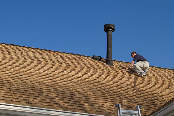 Best Skylight Installation and Repair  in Vley Grande, AL
